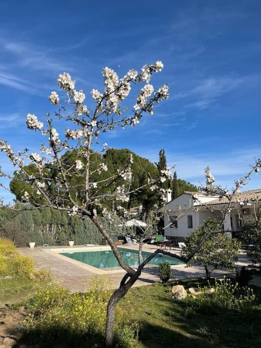 Casa Galiana. Villa Argés Exterior photo